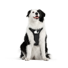 Pet Harness Mount Size L