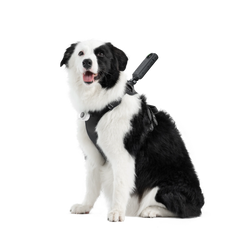 Pet Harness Mount Size L