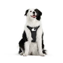 Pet Harness Mount Size L